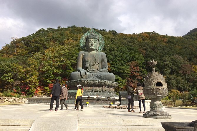 Mt. Seorak+Nami Island+Garden of Morning Calm Day Trip From Seoul - Suggestions