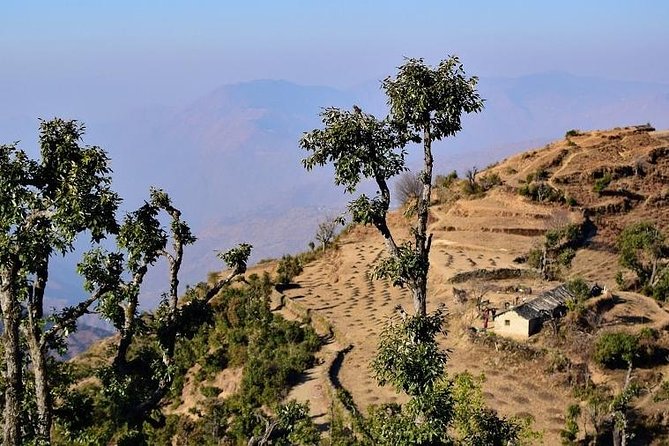 Nag Tibba 2 Days Trek - Additional Tour Information
