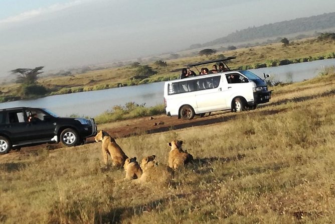 Nairobi National Park, Elephant Orphanage, Giraffe Centre,Karen Blixen Day Tour - Customer Reviews
