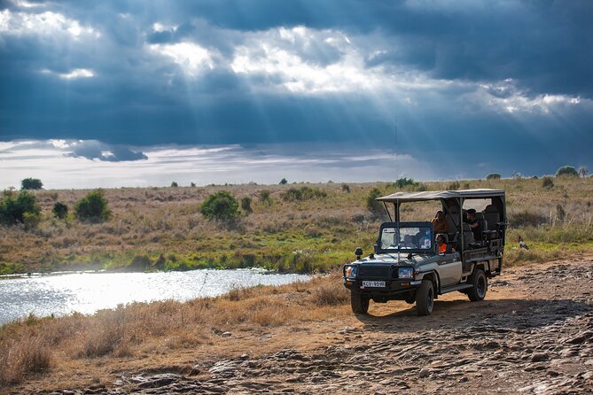 Nairobi National Park Game Drive in an Open Jeep - Sunrise / Sunset - The Sum Up