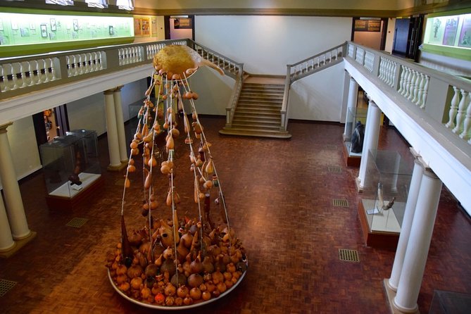 Nairobi National Park, Giraffe Center & National Museum Guided Tour - Additional Service Costs