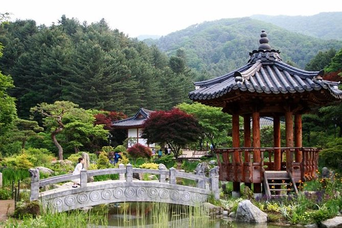 Nami Island, Cable Car, Garden of Morning Calm Panoramic Tour - Cable Car Experience