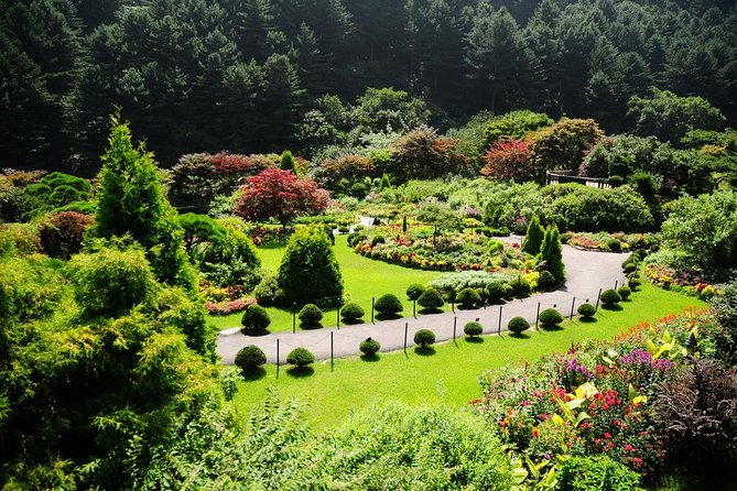 Nami Island & Garden of Morning Calm & Gangchon Railbike Tour - Customer Experiences and Recommendations