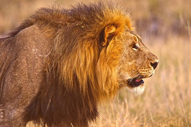 Namibia Adventure Safari in Africa - Pricing and Reviews
