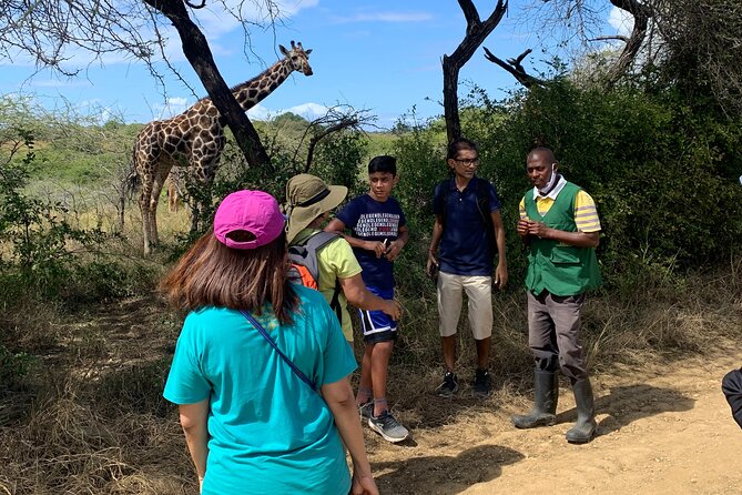 Nature Walk With Giraffes in Mombasa - Visitor Reviews