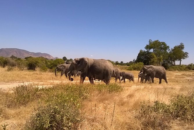 Ngorongoro and Serengeti National Park (3days - Pickup Options