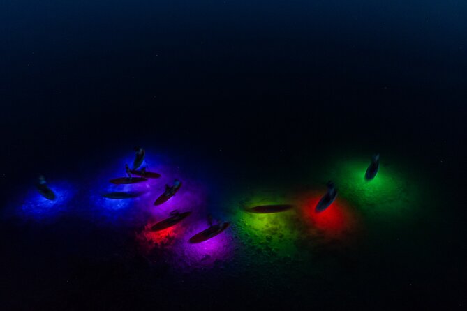 Night Glow SUP Tour