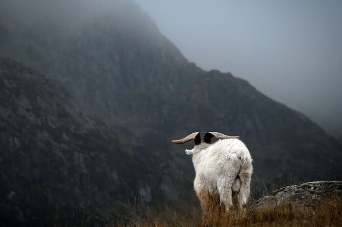 North Wales Rail Tour From London - What To Expect