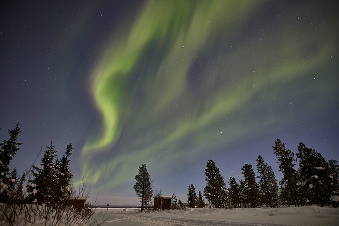 Northern Light Photo Tour - Reviews