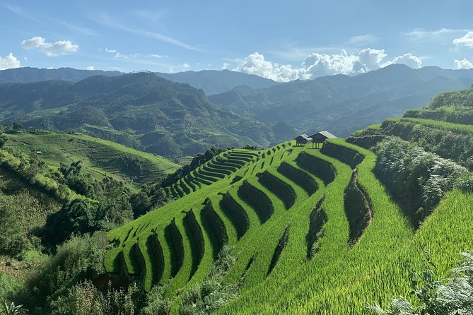 Number One Top Rated Ethical Cultural Trekking and Homestay by ETHOS - Homestay Accommodation Details