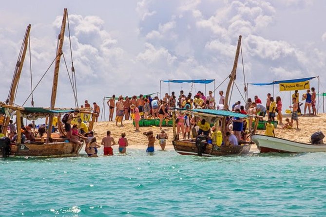 Ocean Safari Tour - Directions