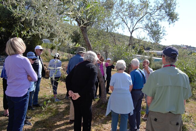 Oil, Wine and Vegetable Gardens of Liguria - Vegetable Garden Tour