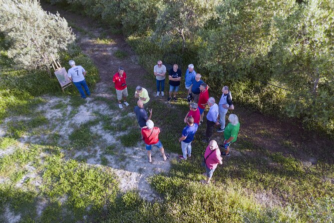 Olive Experience Walk Among the Olive Trees With Tasting - Cancellation Policy