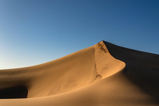 Oman Desert Experience - Wahiba Sands - Customer Reviews and Ratings