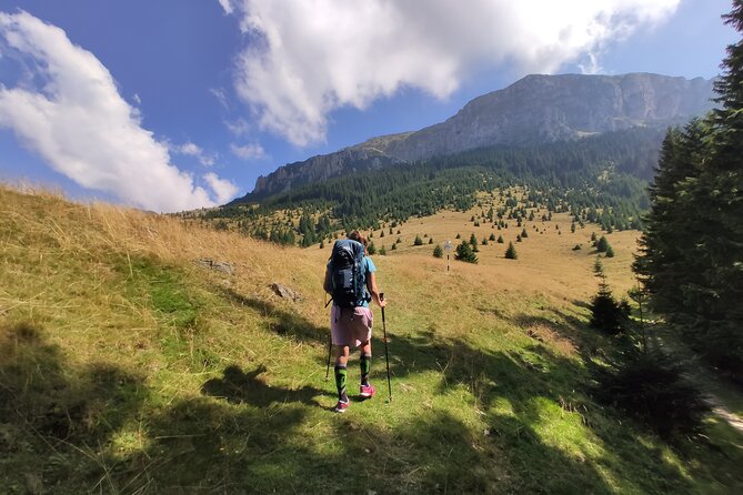 One Day Hiking in Bucegi Natural Park-Private Day Tour From Brasov - Additional Information