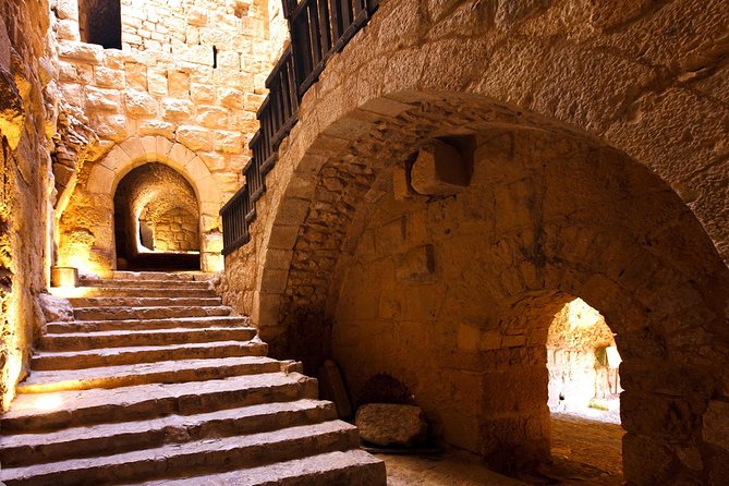One Day Tour to Jerash and Ajloun Castle From Dead Sea - Reviews