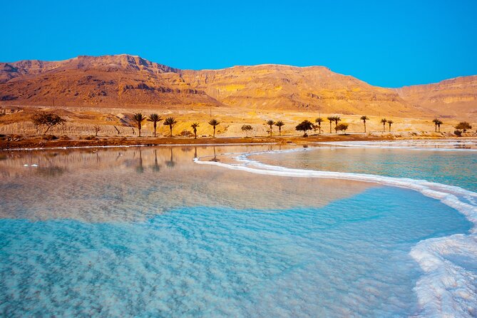 One Day Use in Dead Sea From Amman - Booking Information