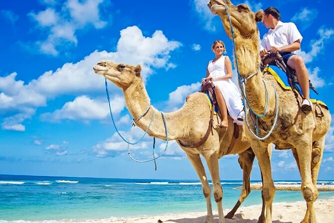One Hour Camel Riding Adventure With Transfer in Hurghada - Additional Information