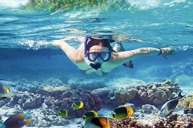 Orange Bay Island Luxury Boat With Lunch & Water Sport - Hurghada - How to Get There