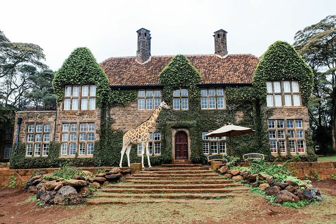 Out of Africa Tour: Giraffe Centre and Karen Blixen Museum From Nairobi - Cancellation Policy