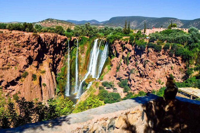 Ouzoud Waterfalls Bliss: a Scenic Boat Ride With a Local Guide - Frequently Asked Questions