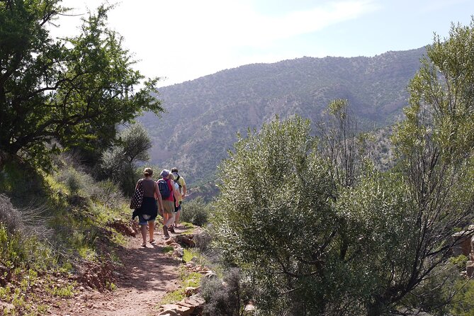 Ouzoud Waterfalls Full-Day Tour From Marrakech - Booking Confirmation and Logistics
