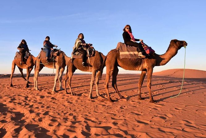Overnight In The Desert From Fez To Marrakech ( Luxury ) - Reviews