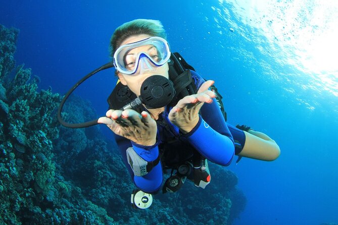 PADI Discover Scuba Diving DSD - Try-Dive Experience! - Explore Borneos Reef and Waters
