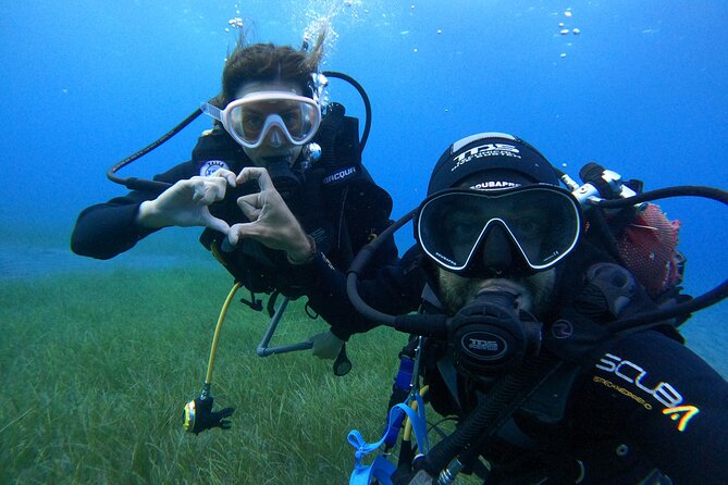 PADI Open Water Scuba Diving Certification Puerto Colon - Booking Information and Pricing