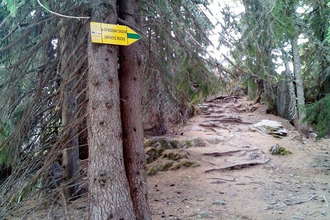Pamporovo or Rhodopes Rent a Bike + E-guide - Equipment and Exclusions Details