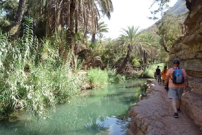 Paradise Valley From Agadir, Small Group Half Day Tour - Pricing Details