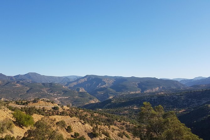Paradise Valley Half-Day Guided Trip - The Sum Up