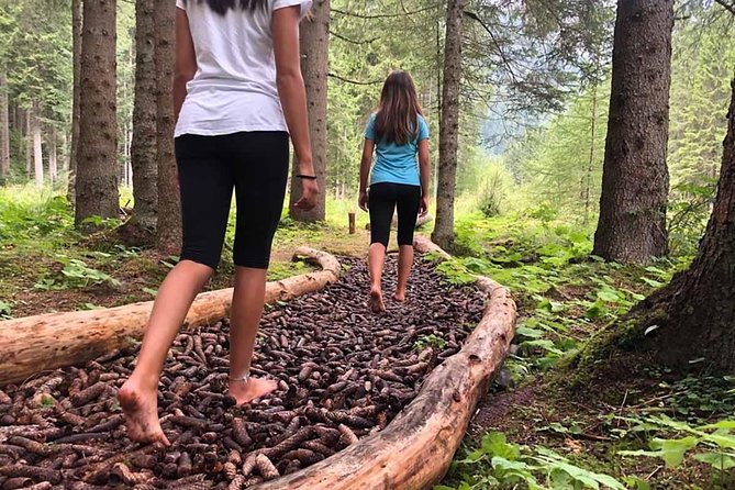 Park Therapy and Barefooting - Park Therapy Techniques