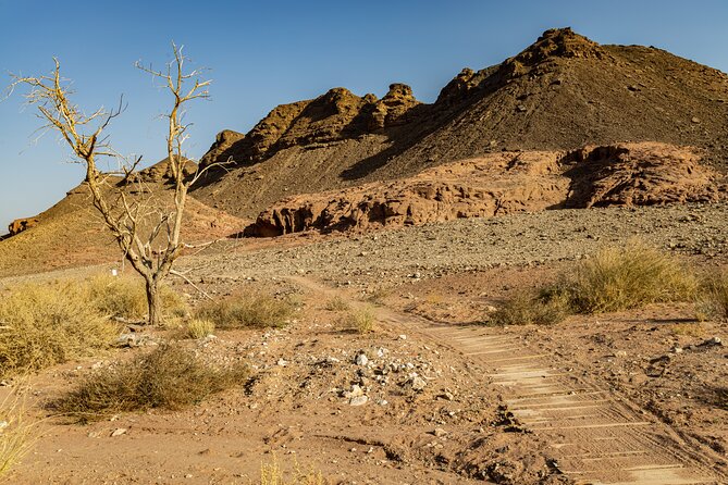 Park Timna: Small Group Photo Tour - What To Expect