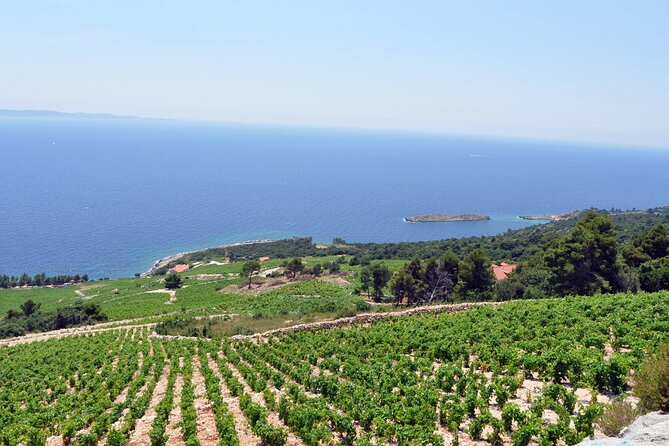 PelješAc Private Wine Tour - Wine and Food Pairing - Booking Confirmation Process