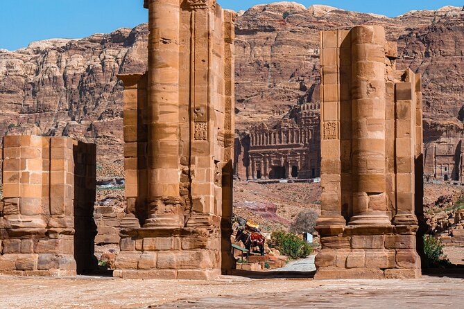 Petra 1-Day Tour From Eilat + FREE Traditional Lunch - Customer Reviews