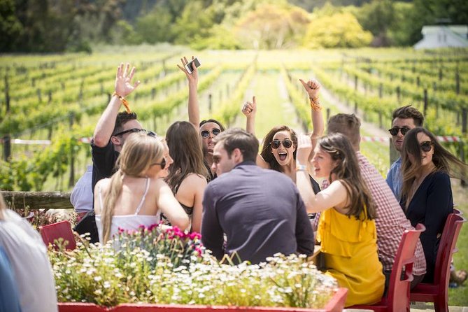 Piedmont Wine Tasting Tours Experience, Italy - Reviews