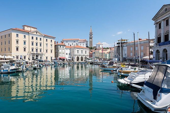 Piran & Panoramic Slovenian Coast - Shore Excursion From Koper - Tour Highlights