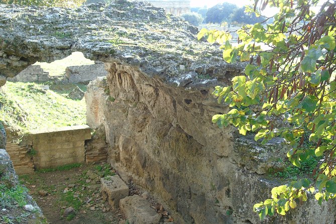 Pompeii and Paestum Fullday From Naples or Sorrento or Positano or Amalfi - Private Tour Features