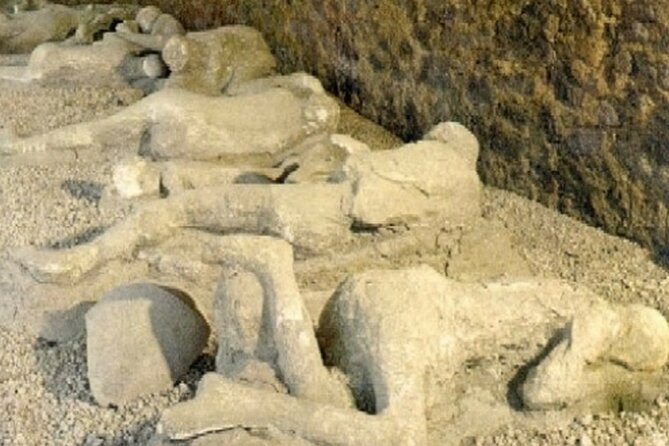 Pompeii and Vesuvius Cellars Tour in Small Groups From Salerno - Group Size and Operator