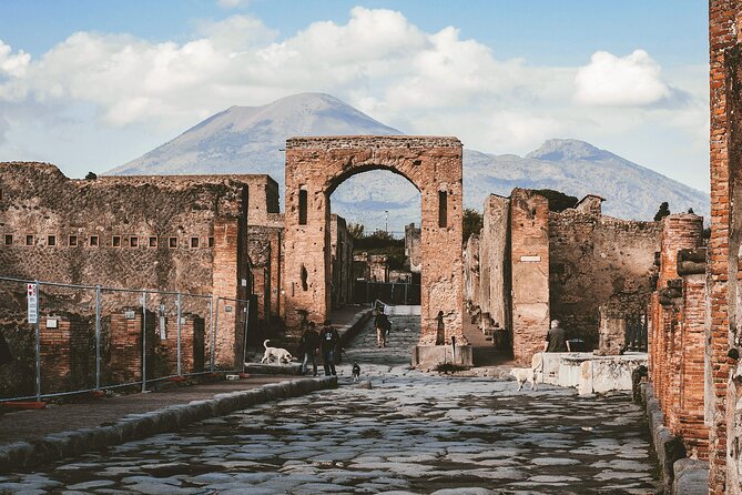 Pompeii: Entrance Ticket and Private Tour With a Historian - Additional Tour Details