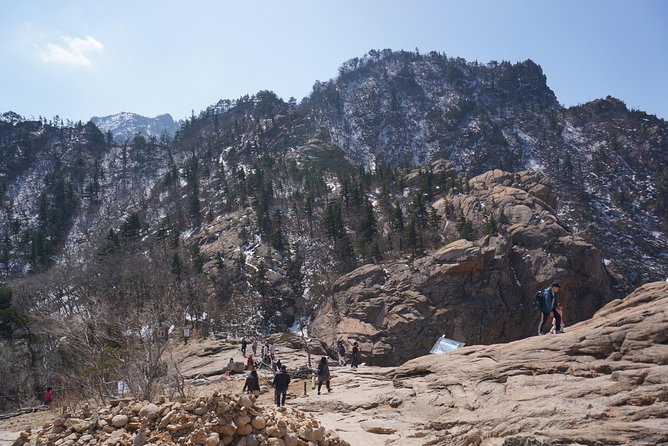 [Premium Private Tour] Mt Seorak & East Sea or Nami Island From Seoul - Customer Experiences