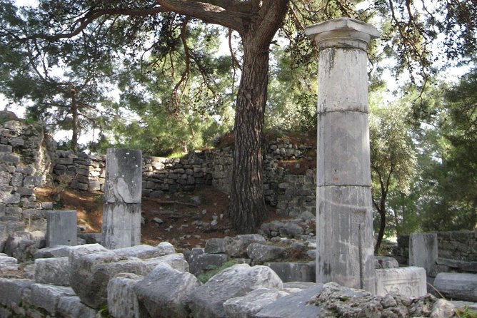 Priene -Miletus-Didyma Tour - Lunch and Refreshments