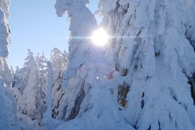 Private 2-Day Trip With Snowshoes - Frequently Asked Questions