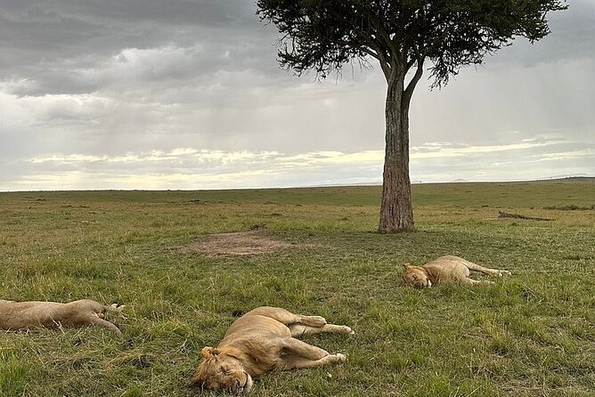 Private Amboseli Overnight Tour - Directions