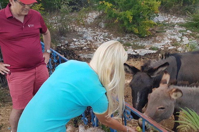 Private Authentic Farm to Table Day Trip From Dubrovnik - Accessibility Information