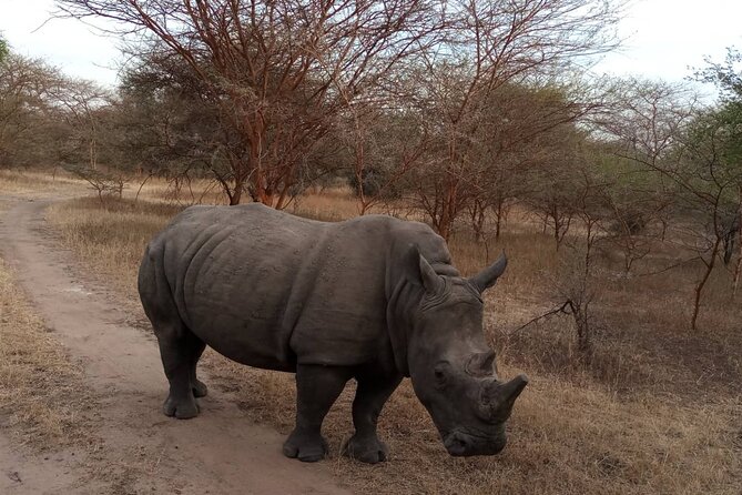 Private Bandia Wildlife Safari Day Trip. 2 for the Reservation - Operator Details