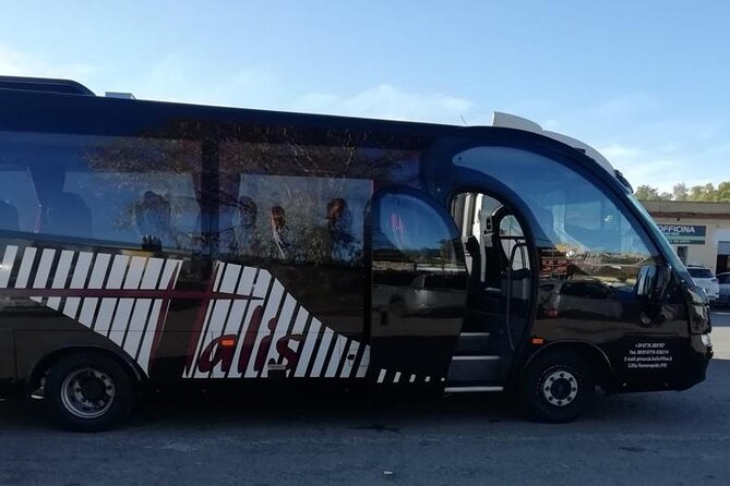 Private Bus Civitavecchia Cruise Port to Rome Hotels - Important Notes