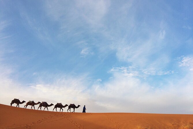 Private Camel Ride Over Erg Chebbi For Sunset Or Sunrise - Flexibility and Assurance