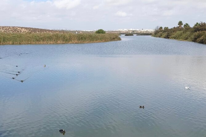 Private City Tour of Albufeira - Additional Information